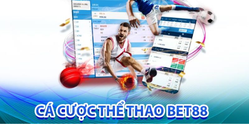 Các hình thức cá cược thể thao đa dạng, luôn được đánh giá cao